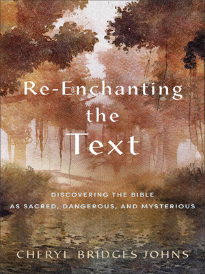 cover image of Re-enchanting the Text